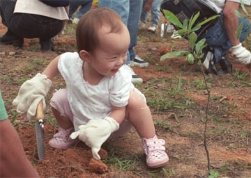 Child Planting a Tree (foe.org.hk)