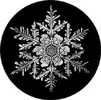 <center>Beautiful snowflake<br>( www.suite101.com/article.cfm/13646/96746)</center>