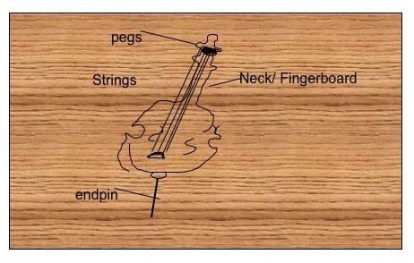 These are the parts of the cello. (original artwork by Daniel)