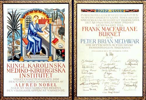 Burnet Diploma for the Nobel Prize (nobelprize.org)