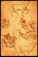 The study of Horses - Leonardo