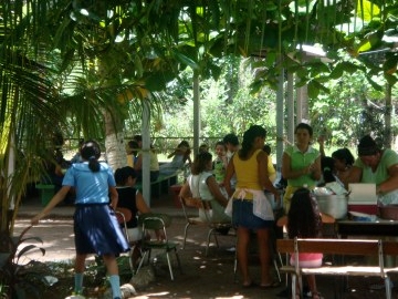 Parent fundraising picnic featuring grown hydroponic vegetables and tilapia