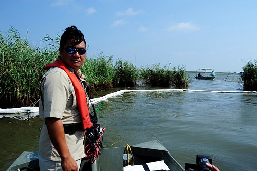 Clean-up member, Tha Hua searching for oil. (http://www.flickr.com/photos/deepwaterhorizonresponse/4967817137/in/photostream (Deepwater Horizon Response))