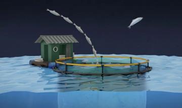 Picture of Ending Overfishing
