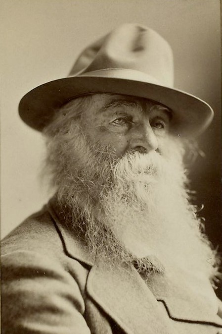 Picture of Poet Hero: Walt Whitman by Austin from Boca Raton