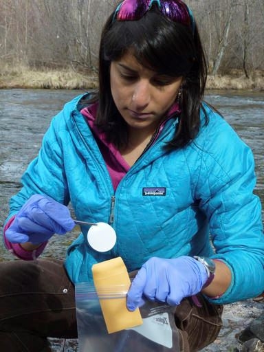 This April 17, 2014 photo provided by the U.S. Forest Service shows Dr. Kellie Carim collecting DNA to be brought to the National Genomics Center for Wildlife and Fish Conservation to look for both threatened bull trout and detect if invasive brook trout are present in the stream on Rattlesnake Creek, Missoula, Mont. Scientists are aiming to create a biodiversity map that identifies thousands of aquatic species in every river and stream in the western United States. They say that by next summer, the first Aquatic Environmental DNA Atlas will be available to the public. (Michael K. Schwartz/U.S. Forest Service via AP)