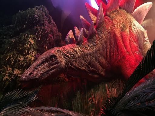 This Wednesday, Nov. 23, 2016 photo, shows an animatronic stegosaurus on display at the “Jurassic World” exhibit opening Friday, Nov. 25, at the Franklin Institute in Philadelphia. (AP Photo/Josh Cornfield)