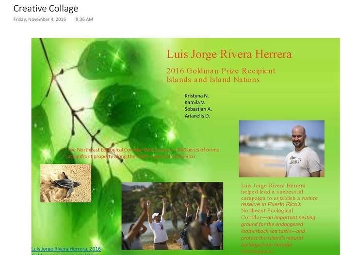 Luis Jorge Rivera Herrera (Collage about his project to save the turtles (Arianelis, Kristyna, Sebasti?n and Camila))