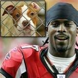 Michael Vick and A pitbull (search.live.com/images)