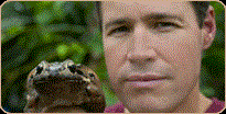 Jeff Corwin with a frog from the rainforest for a (http://www.fightforthefrogs.com/corwin.html)