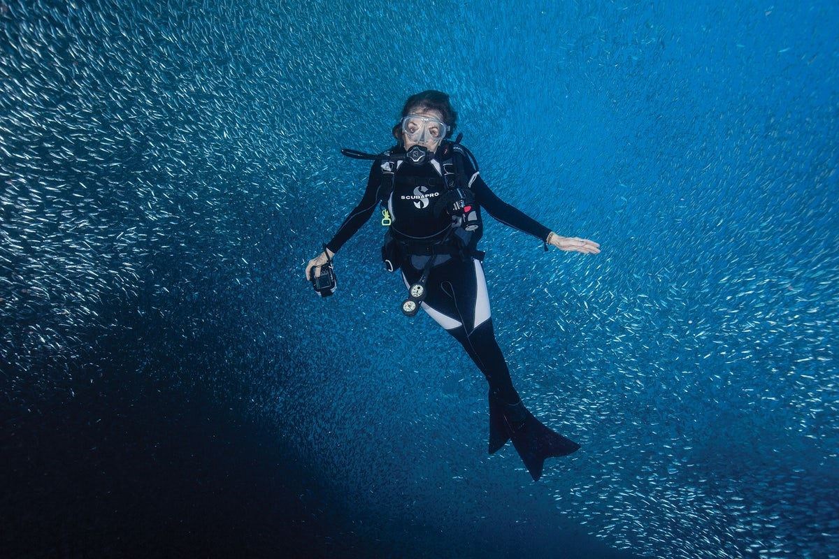 Dr. Sylvia Earle MY HERO
