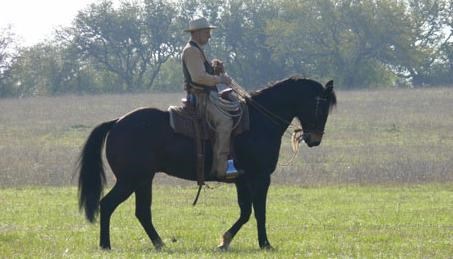Buck Brannaman Riding His Horse (http://www.guardian.co.uk/film/2012/apr/29/buck-review-brannaman-documentary)