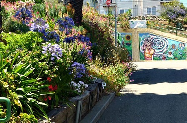 Flowers bloom alongside Quesada Avenue in San Francisco. An effort by local citizens to plant gardens, called the Quesada Gardens Initiative, profoundly altered the face of this once-blighted neighborhood.  <P>Courtesy of Katherine Gustafson