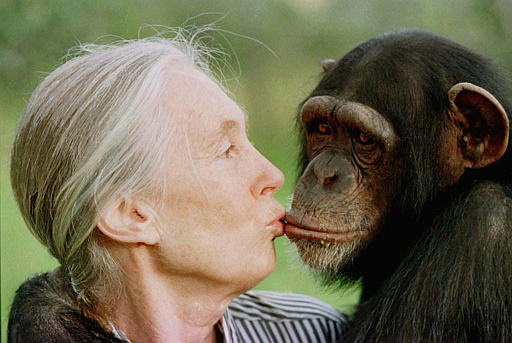 Jane Goodall Poster