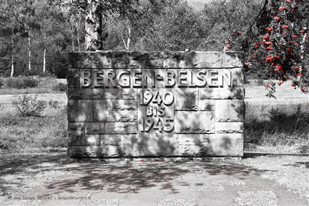 Bergen-Belsen: Where Anne Frank Died (https://www.mvmnt.it/wp-content/gallery/bergen-bel ())
