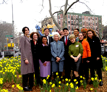 Picture of The Daffodil Project