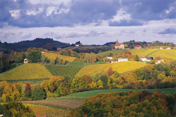 The beautiful hills of Prlekija (http://www.jeruzalem-ormoz.si/slike/2.jpg)