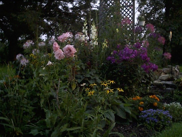 This is her beautiful garden (She took this picture last summer)