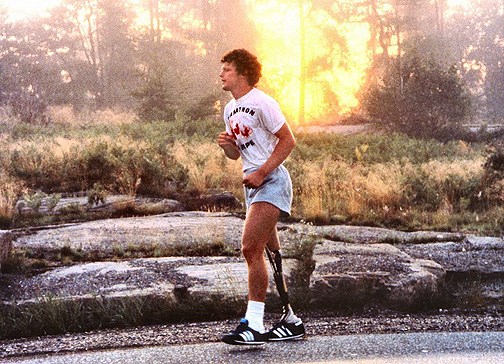 Terry Fox (Internet)