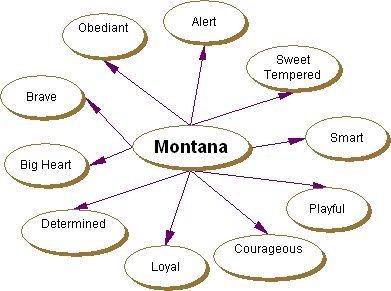 Montana Web (I made it.)