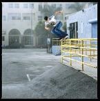 Andrew Reynolds 50-50 (www.google.com)