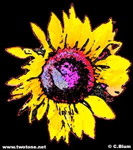 Sunflower by Blum (http://www.sito.org/cgi-bin/egads/showart?show=blc.0000&idonly=blc&seq=4)