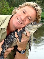Steve Irwin and Crocodile (Australia Zoo web site)