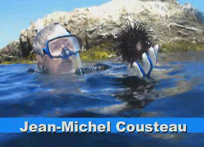 Jean-Michel Cousteau snorkles with Slater on Catalina Island
