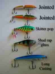 My five favourite Rapala lures<br> (photo by Joseph Hyland)