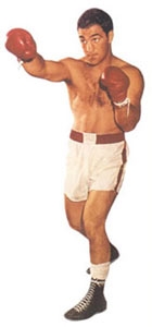 rocky (http://www.rockymarciano.net)