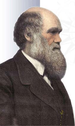 <a href=http://www.darwincountry.org/assets/shells/darwincountry001/big_darwin.jpg>Charles Darwin</a>