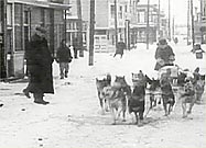Nome Rescue (http://www.pbs.org/wnet/nature/sleddogs/images/nome_rescue.jpg) 