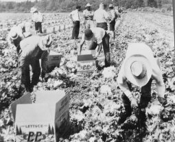 <a href=http://www.dwd.state.wi.us/dwd/DWDHistory/images/farm_workers_big.jpg>Farm Workers</a>