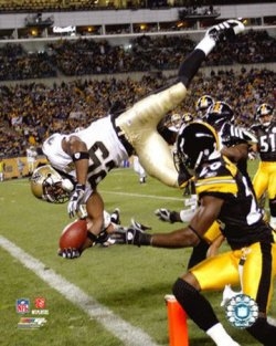 Reggie Bush doing a dive into the inzone (www.allposters.com)