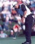 Tiger in a tournament (Google Images)