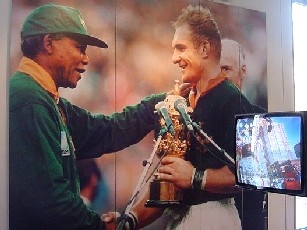 Springboks | MY HERO