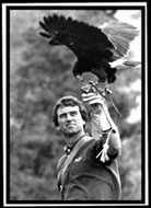 Robert F. Kennedy Jr. is a Master Falconer (riverkeeper.org)