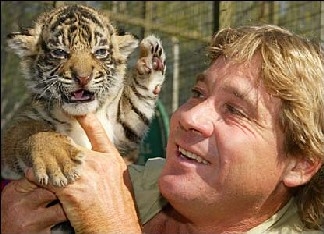 Steve Irwin holding a baby tiger (news.bbc.co.uk)