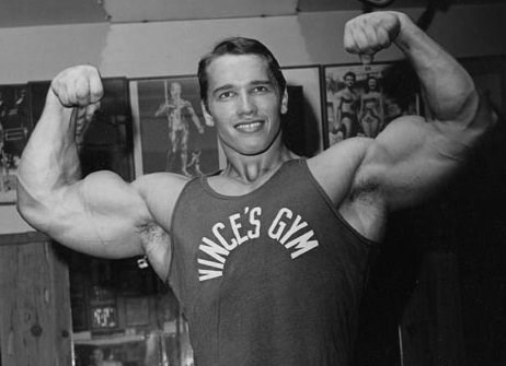 arnold schwarzenegger showing his body (http://www.girondatalks.com/portals/86/arnold-schwarzenegger-vince-gironda.jpg)