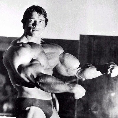 picture of arnoid schwarzenegger (http://www.dontclickme.com/media/arnold-schwarzenegger-big_muscle.jpg)