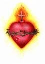 Sacred Heart  (http://images.google.com/images?um=1&hl=en&client=safari&rls=en-us&q=sacred+heart&btnG=Search+Images)