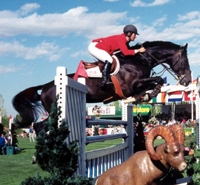 Beezie Madden and Judgement