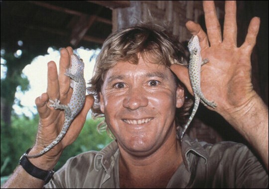 Steve with geckos hanging on him