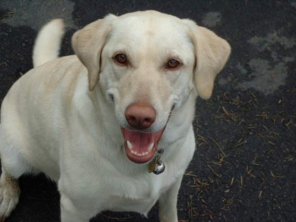 Maddy age 2 (My photo album)