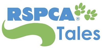RSPCA Animal Rescue | MY HERO