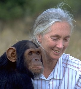 Jane Goodall (http://www.memphisconnect.com/wp-content/uploads/goodall-orphan-273x300.jpg)