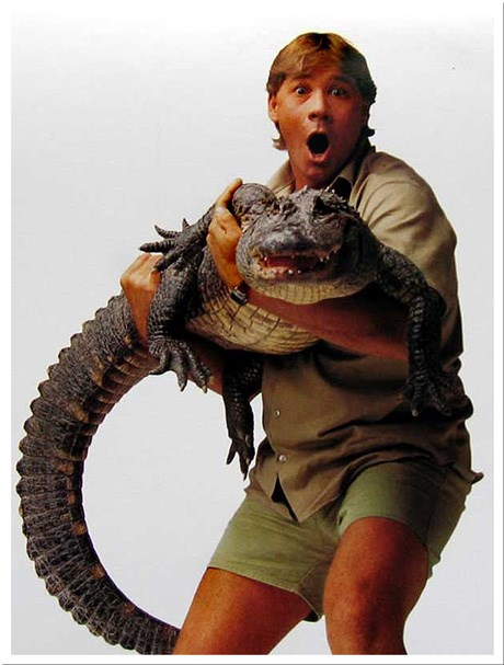 Whoa (on the internet on images of Steve Irwin)