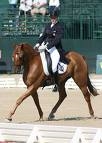 Theodore does dressage