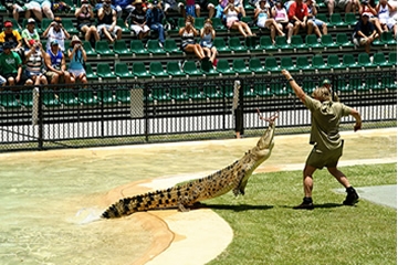 Steve Irwin feeding a crocodile (http://upload.wikimedia.org/wikipedia/commons/1/1f/Steve_irwin_at_Australia_zoo.jpg)