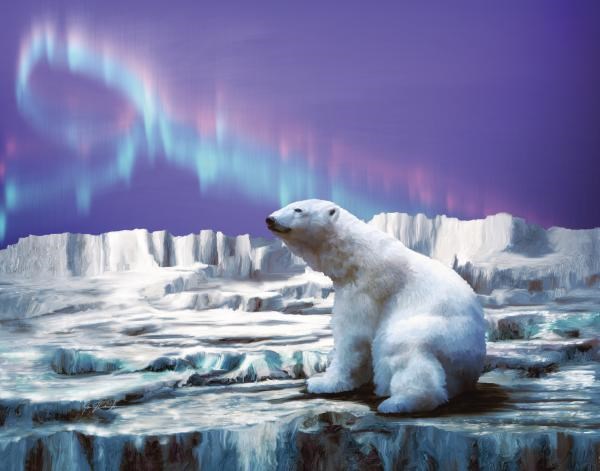 Polar bears on ice watching northern ice (http://fineartamerica.com/images-medium/arctic-chill-jan-baughman.jpg)